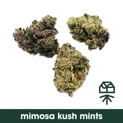 Mimosa Kush Mints -  cannabis product