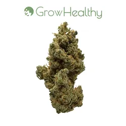 The Grinch Flower from  product image
