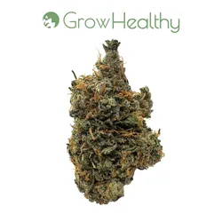 Jack Herer Flower from  product image