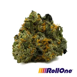 Iron Lion -  cannabis product