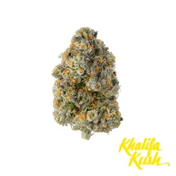 Baby Turtle K4 Flower from  product image