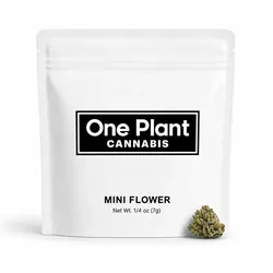 Berry Bonds Mini Buds from  product image