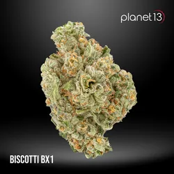 Biscotti Bx1 3.5g Pouch Tier 2 from  product image
