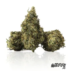 Zqueeze from  product image