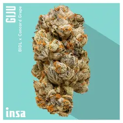 Flower - GIJU from  product image