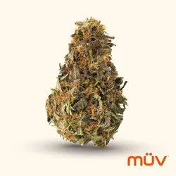 Snow Sweet x Jet Fuel Gelato from  product image