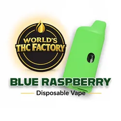 World THC Factory - AIO Distillate - Blue Raspberry from  product image