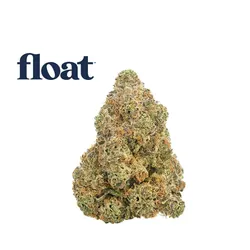White Hot Guava 14 x Black Velvet from  product image