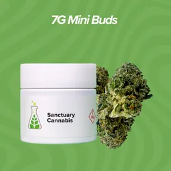 Deep Fried Ice Cream Mini Buds - 7g from  product image