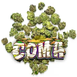 Coma - Pops from  product image