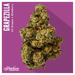 Flower - Grapezilla from  product image