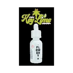 Tincture 1:1 500mg - Key Lime (1oz) from  product image