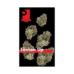 Lemon Up 7g Juniors from  product image