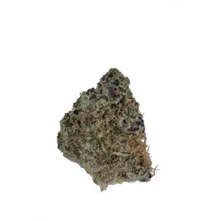 Purple Starfruit from  product image