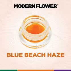 Blue Beach Haze -  cannabis product
