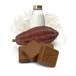 Milk Chocolate - Chocolate Bites from  product image