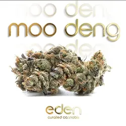 Moo Deng from  product image