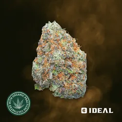 Trop Gelato from  product image