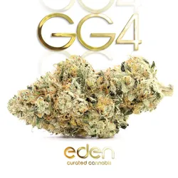GG4 ShMediums from  product image