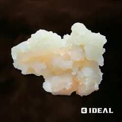 Bolo Runtz from  product image