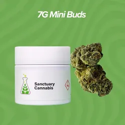 Terpy Slurpee -  cannabis product