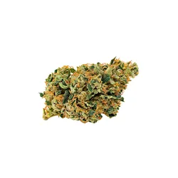 WTE Iverson from  product image