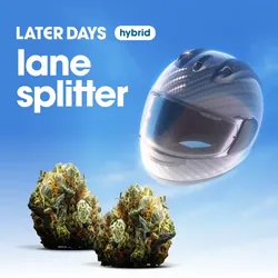Lane Splitter Flower from  product image