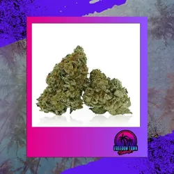Permanent OZ from  product image
