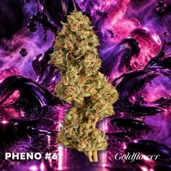 Forever FumeZ (20.1% THC) 1g from  product image