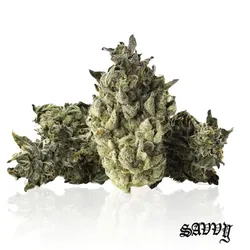 Vice City from  product image