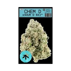 Chem D x Sour Diesel Bx1 #24 Eighth from  product image