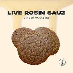 Live Rosin Sauz Ginger Molasses Cookies - 10 Pack | 100mg from  product image