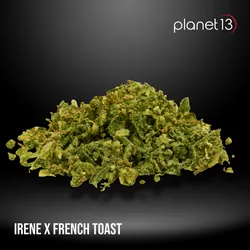 Irene x French Toast 7g Ground from  product image