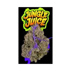 Jungle Juice Eighth (Glass Jars) from  product image