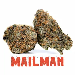 Mailman from  product image