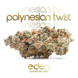 Poly Twist from  product image