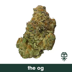 The OG from  product image