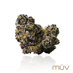Black Amber from  product image