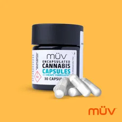 1:1 CBD:THC Fast Acting Capsules from  product image