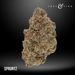 Spruntz #1 3.5g Pouch Tier 1 from  product image