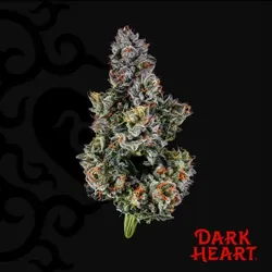 Triple Stack -  cannabis product