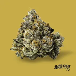 High Society from  product image