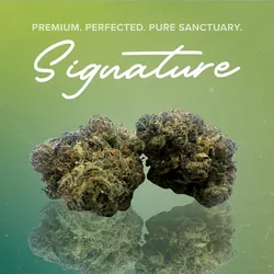 Black Plague Signature - 3.5g from  product image