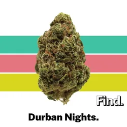 Durban Nights from  product image