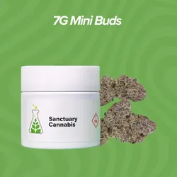 Terpee Burger Mini Buds - 7g from  product image