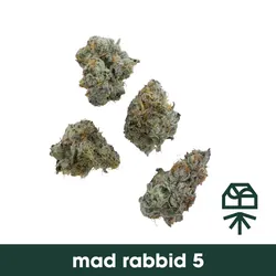 Mad Rabbid #5 from  product image