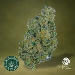 Black Betty from  product image