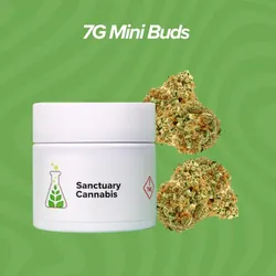 Holy Grail Mini Buds - 7g from  product image