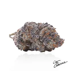 TrmsuICC x GrpeTeeth #2 from  product image