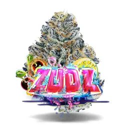 Zudz - Premium Flower from  product image